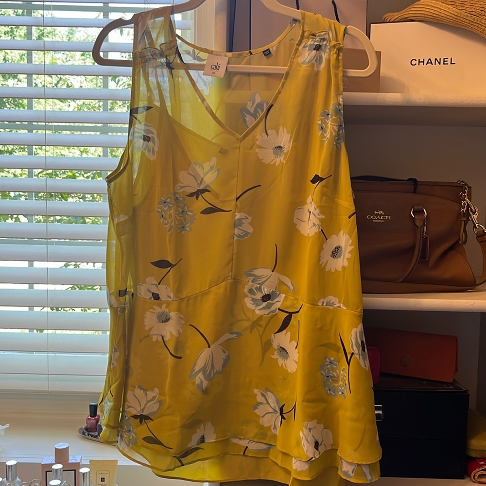 Cabi Dazzle top